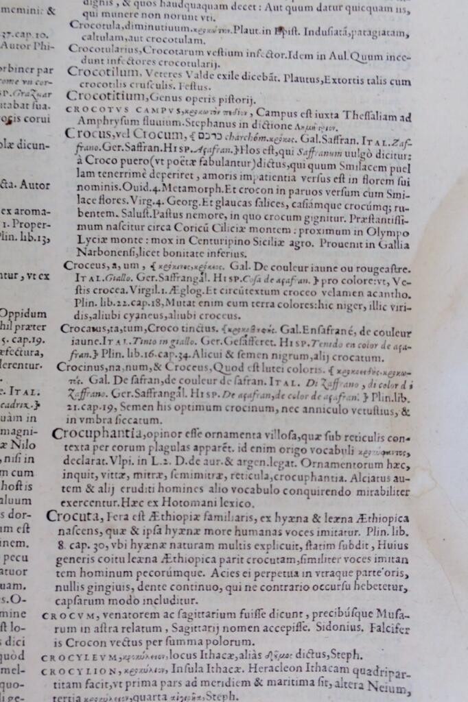 Multilingual Latin Dictionary, 17th Century