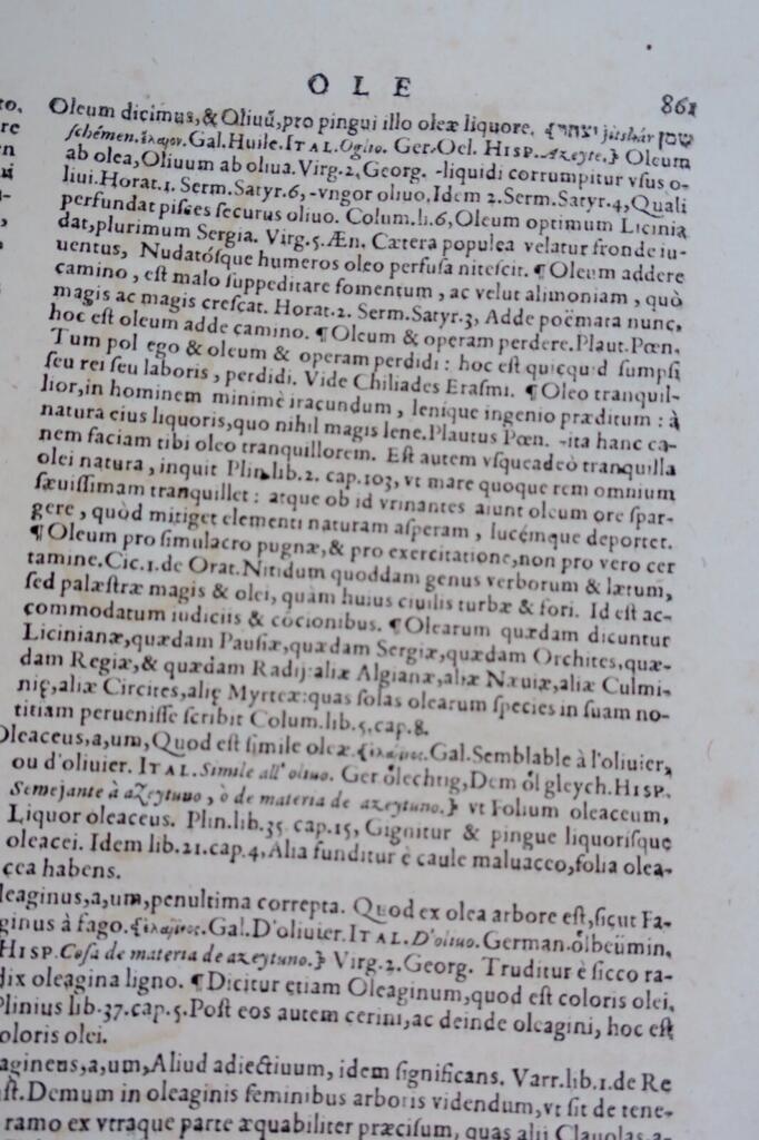 Multilingual Latin Dictionary, 17th Century
