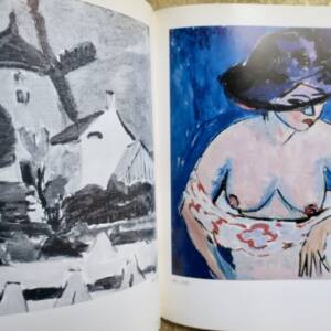 Le fauvisme français et les débuts de l’Expressionnisme allemand