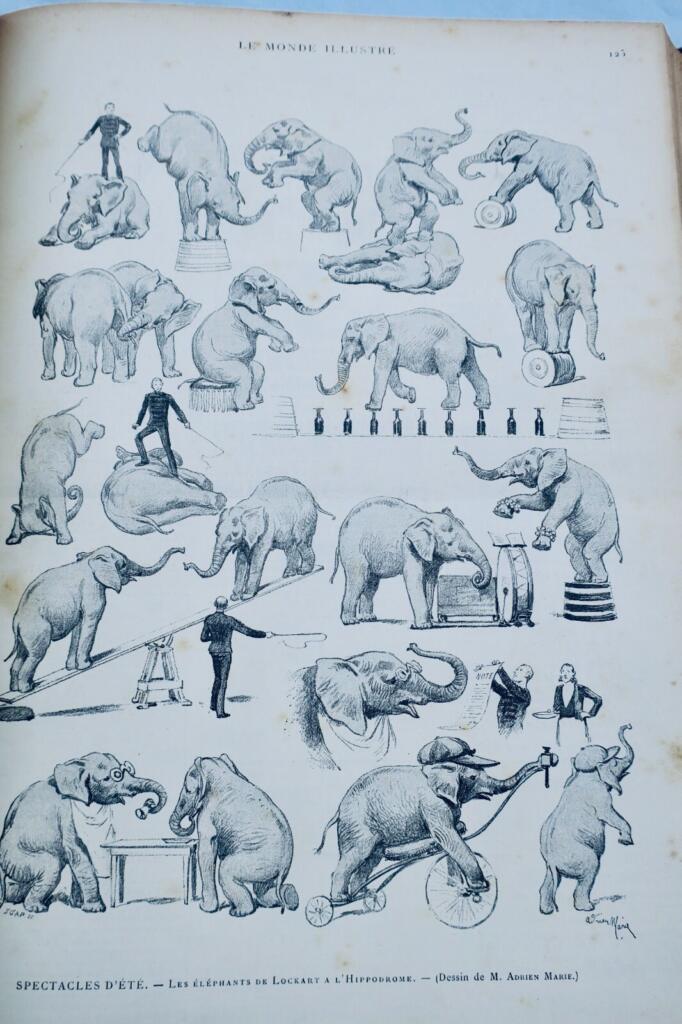 Illustrierte Wochenzeitschrift von 1885