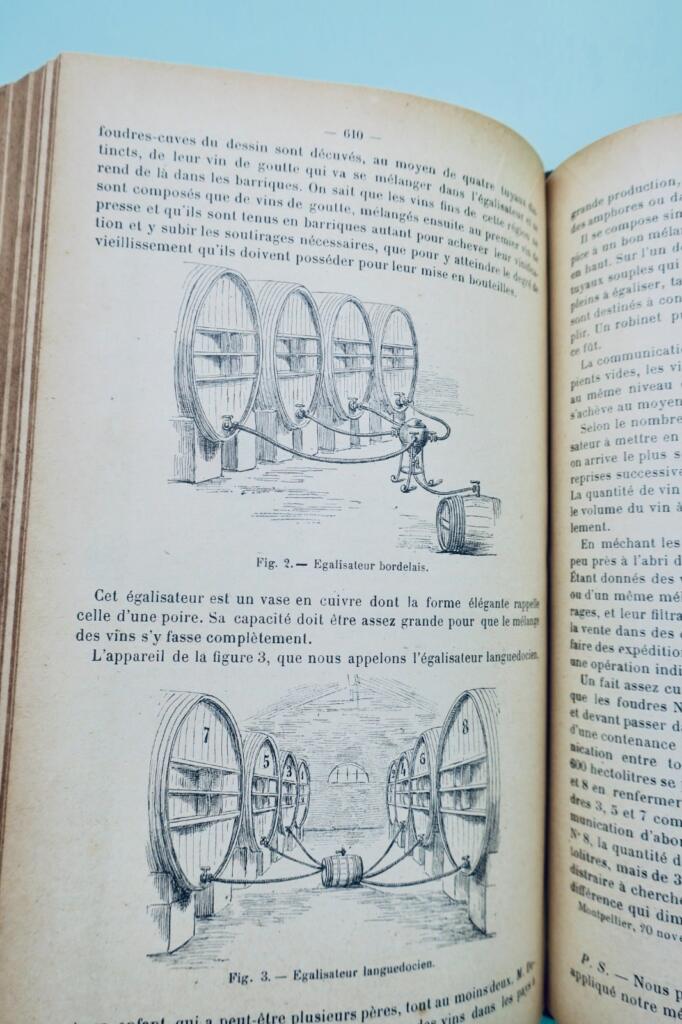 Agricultural and Wine Progress, 1901 H2