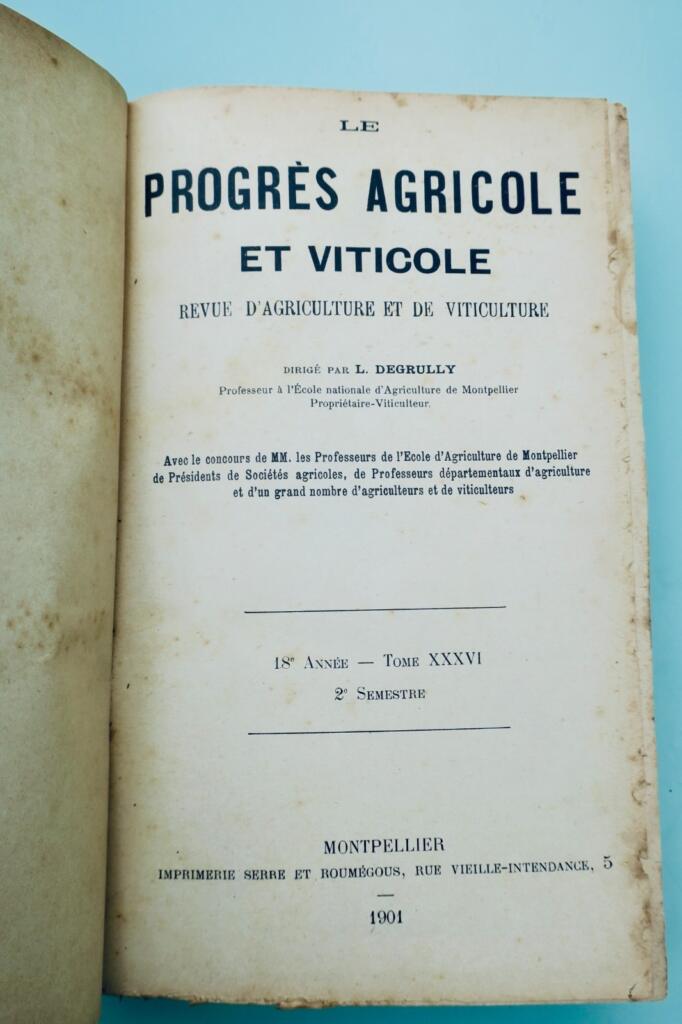 Agricultural and Wine Progress, 1901 H2