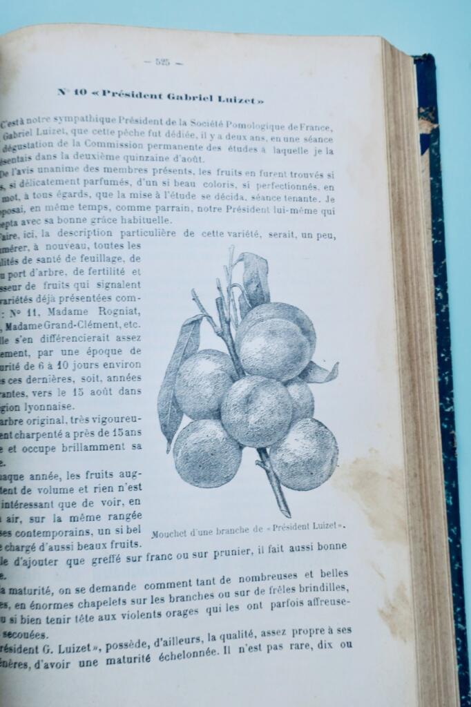 Le Progrès Agricole et Viticole 1908 – 2er semestre