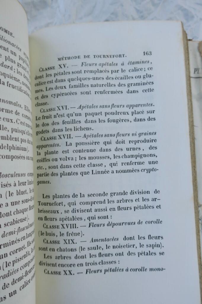 Botany Lessons for Young Readers 1840