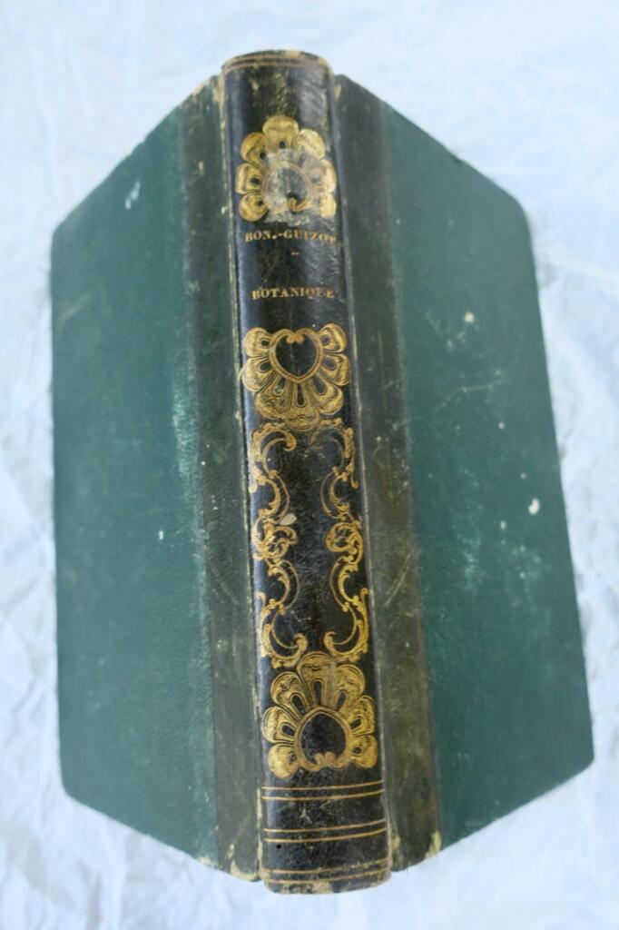 Botany Lessons for Young Readers 1840