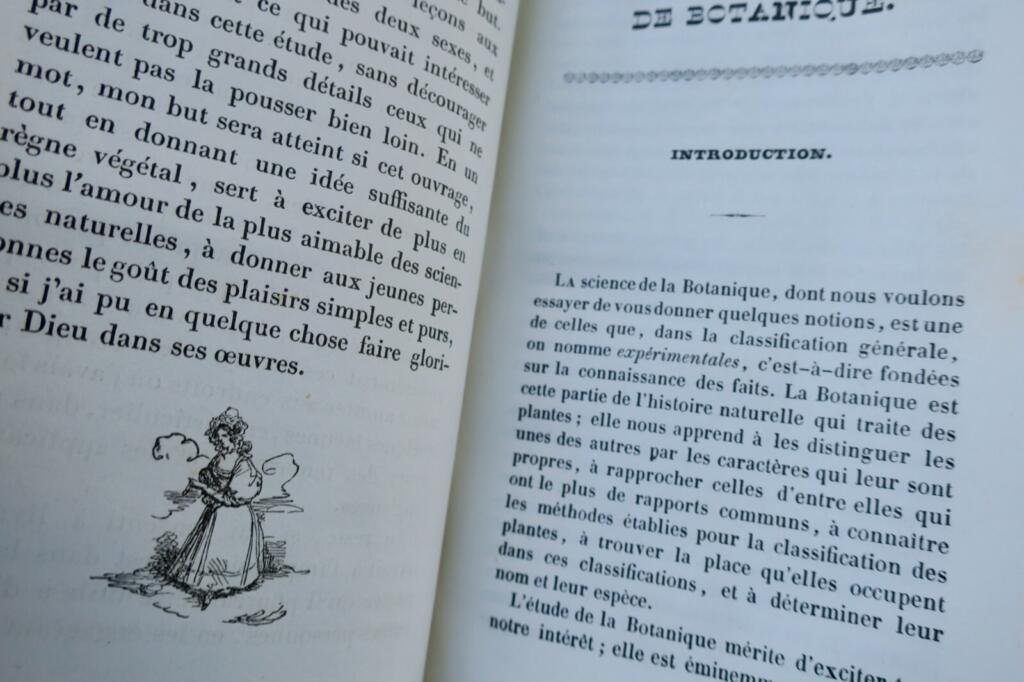 Botany Lessons for Young Readers 1840