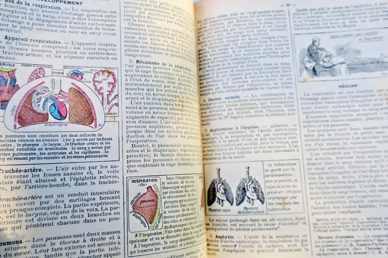 LECONS DE SCIENCES. PHYSIQUES ET NATURELLES... – Image 14