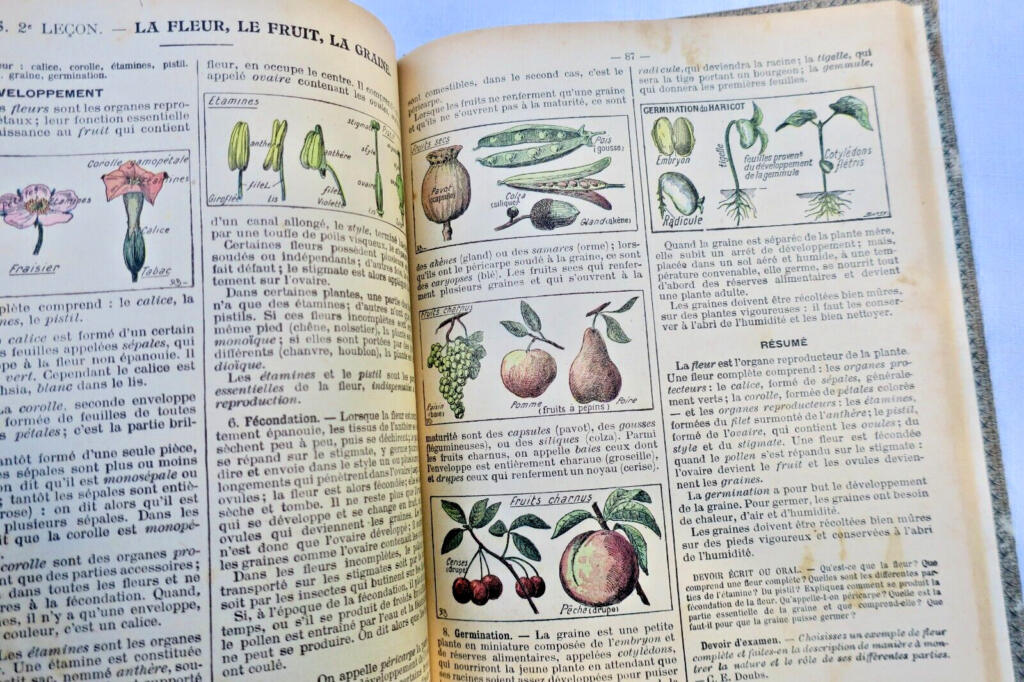 LECONS DE SCIENCES. PHYSIQUES ET NATURELLES…