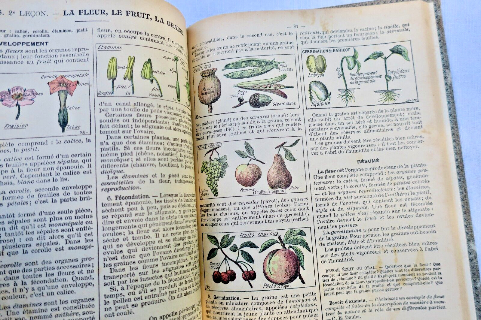 LECONS DE SCIENCES. PHYSIQUES ET NATURELLES... – Image 12