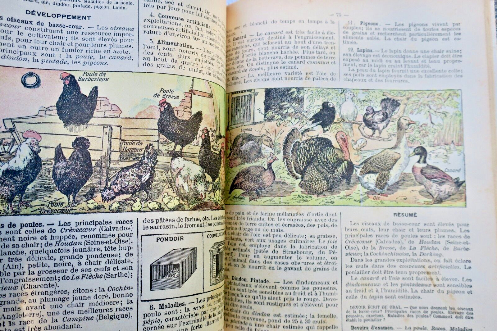 LECONS DE SCIENCES. PHYSIQUES ET NATURELLES... – Image 4