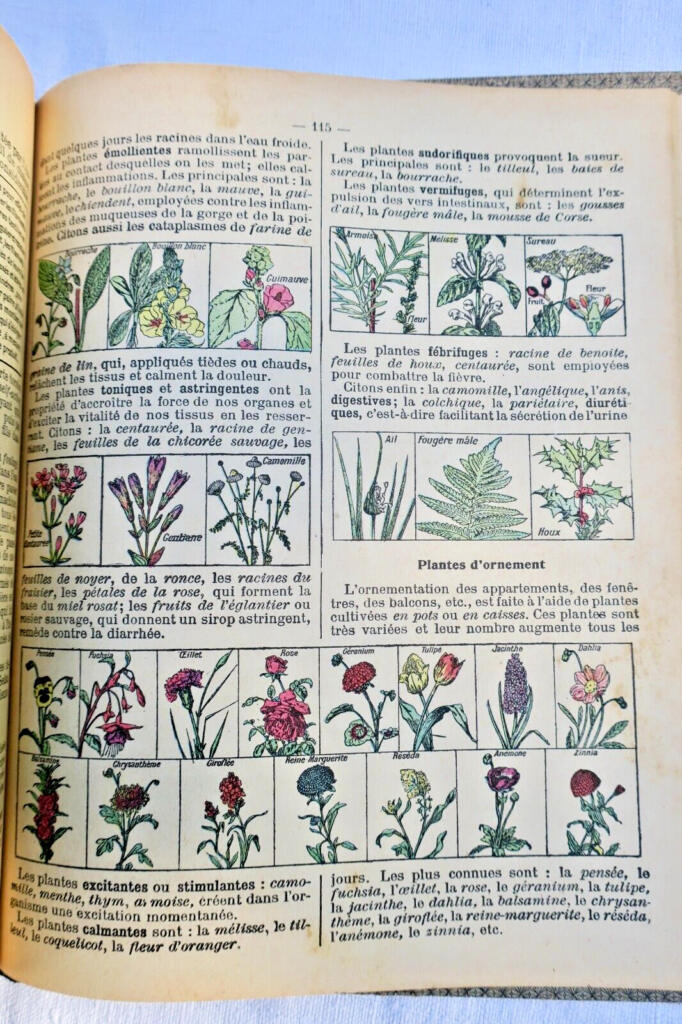 LECONS DE SCIENCES. PHYSIQUES ET NATURELLES…