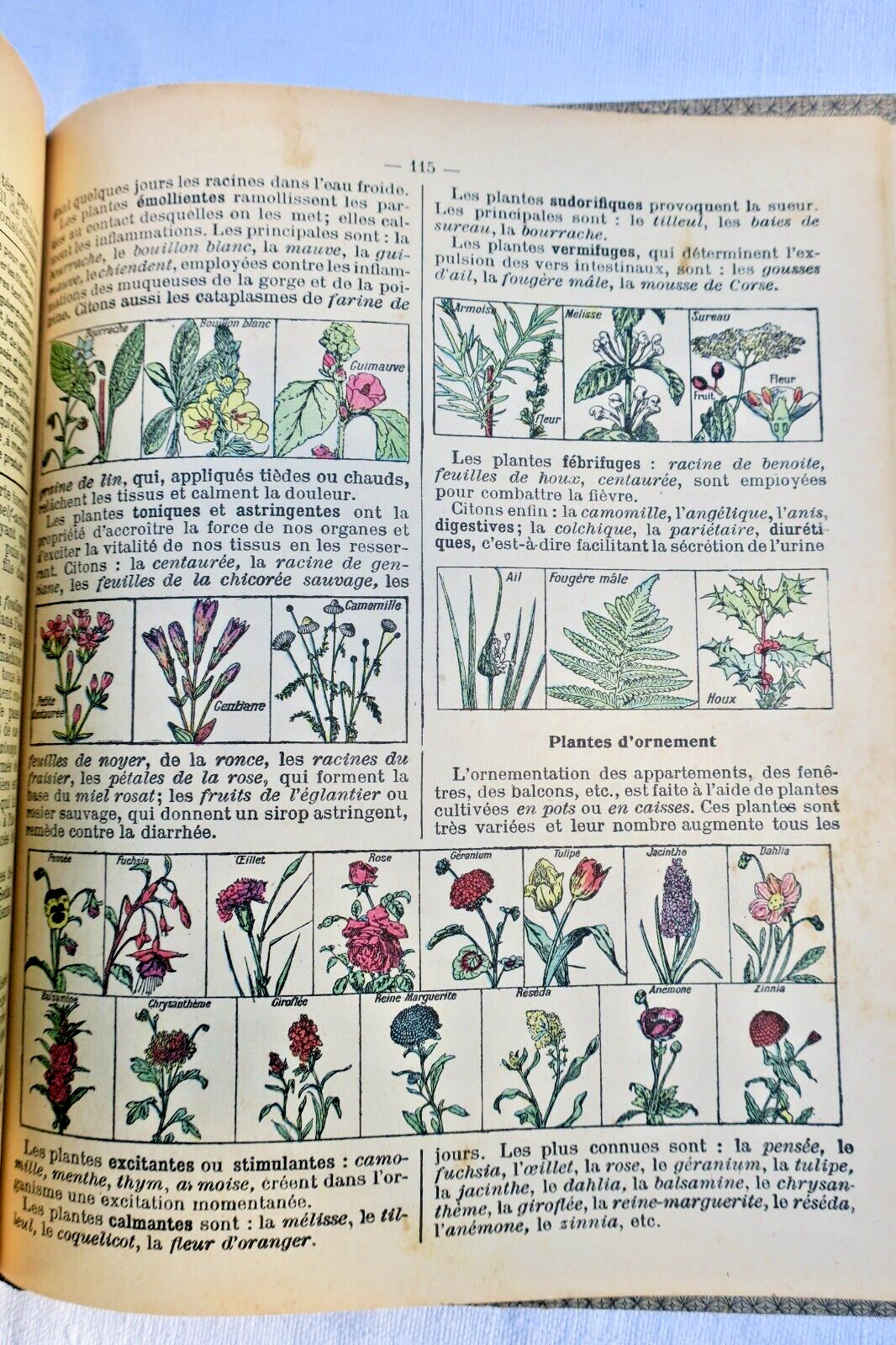 LECONS DE SCIENCES. PHYSIQUES ET NATURELLES... – Image 11