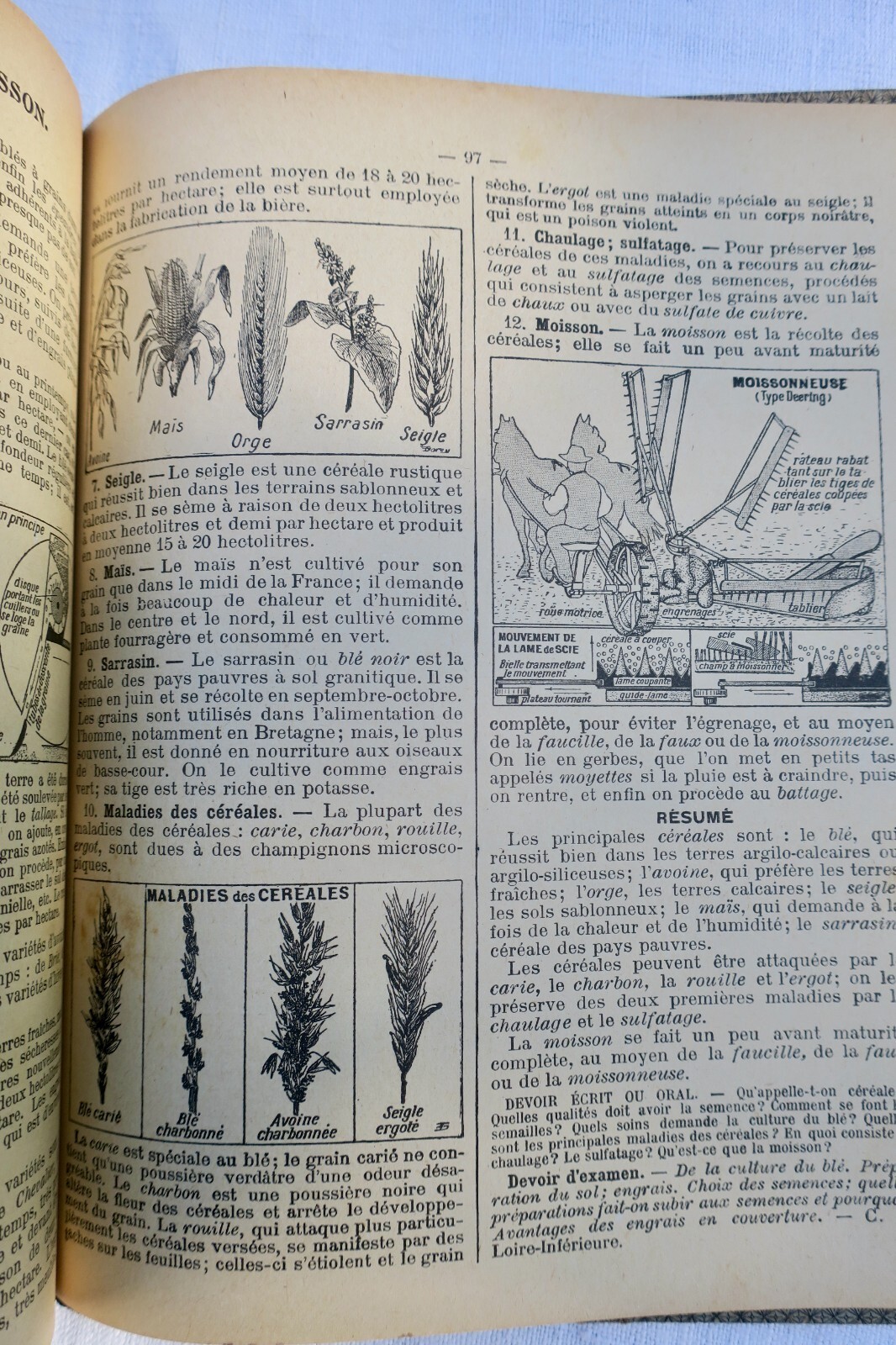 LECONS DE SCIENCES. PHYSIQUES ET NATURELLES... – Image 3
