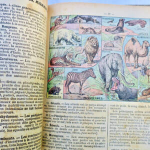 LECONS DE SCIENCES. PHYSIQUES ET NATURELLES...