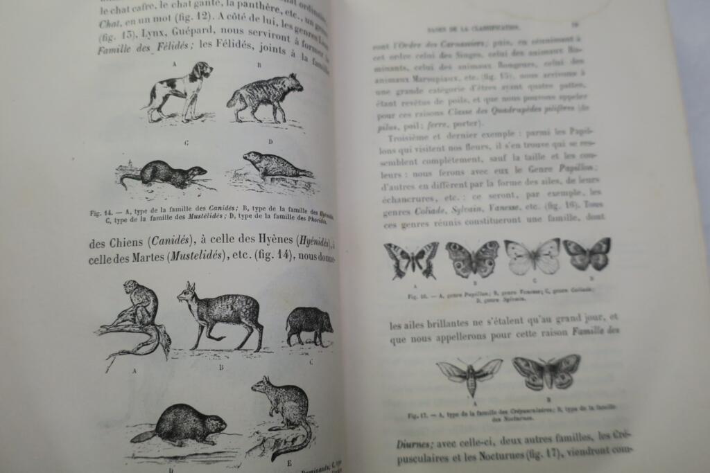 Zoology instruction for secondary girls' education