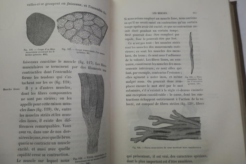 Zoology instruction for secondary girls' education