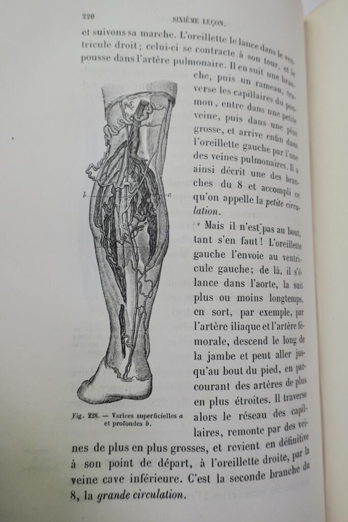Zoology instruction for secondary girls' education
