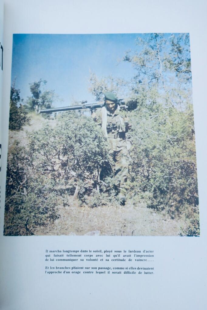 カメロンの戦い:フランス外人部隊の歴史