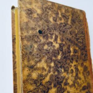 LEGISLATION ET JURISPRUDENCE DES TRIBUNAUX DE SIMPLE POLICE 1830