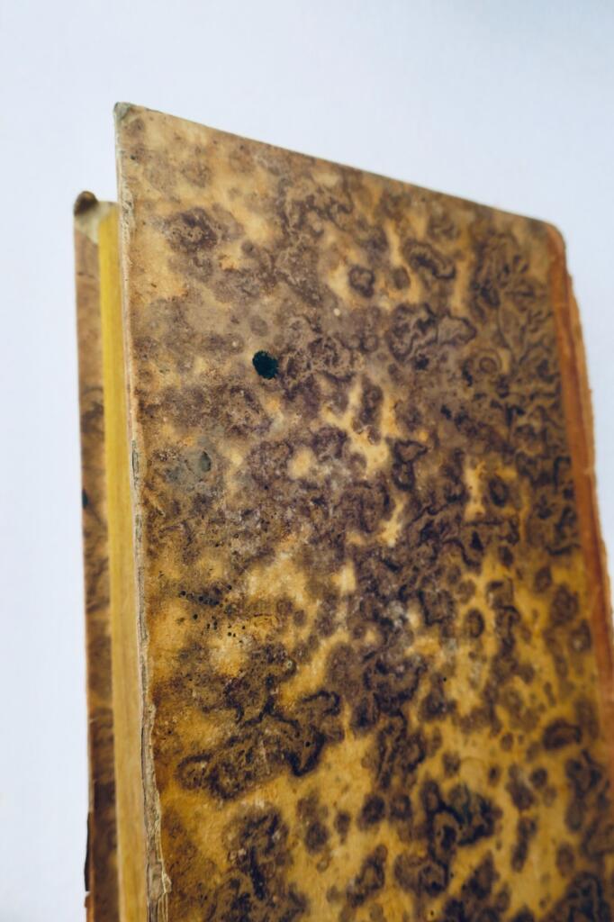 1830 Police Court Legislation and Jurisprudence