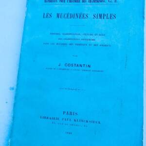 Les Mucédinées Simples Pour L'histoire Des Champignons, 1888 - Les Mucédinées