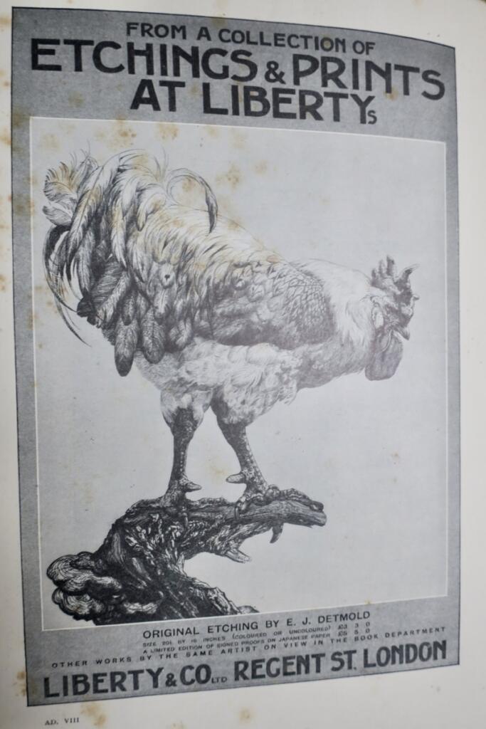 初期イギリス・メゾチント版画集:1910-11年特別号