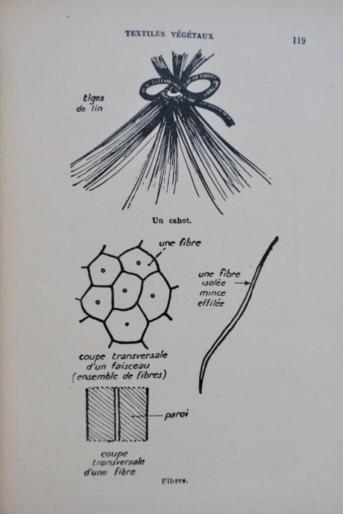 Lingerie materials and production techniques