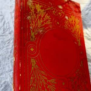 LIVRE DELON C. HISTOIRE D UN LIVRE 1884