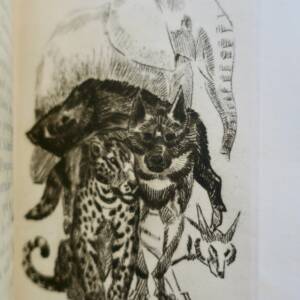 LIVRE DES BÊTES QU' ON APPELLE SAUVAGES. DEMAISON (André)