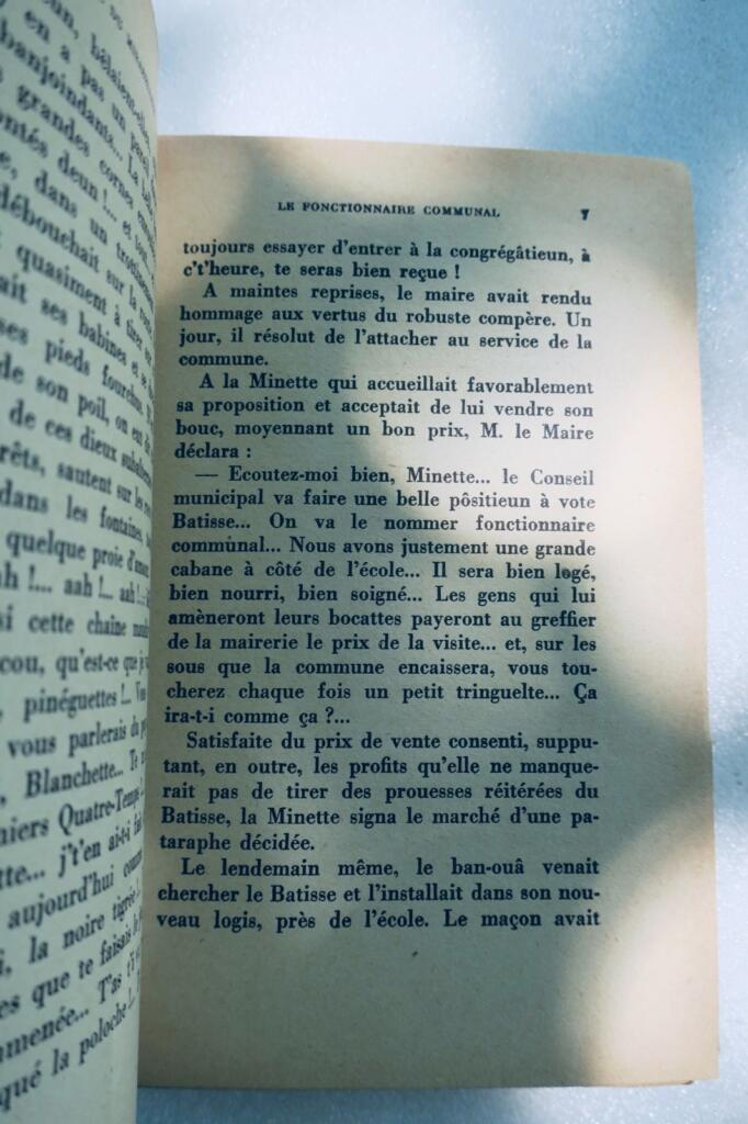 Chroniken des Mirabellier von Lothringen