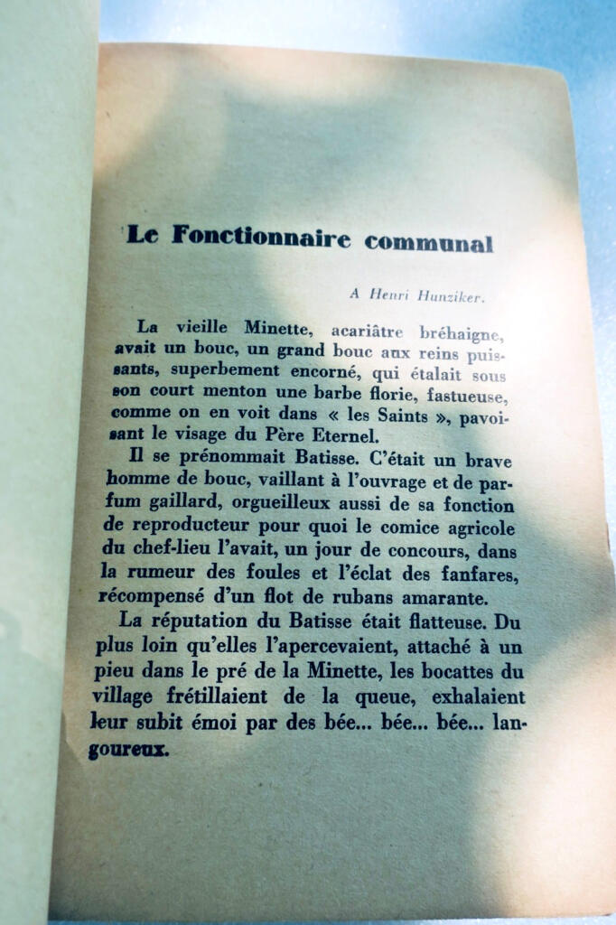 Chroniken des Mirabellier von Lothringen