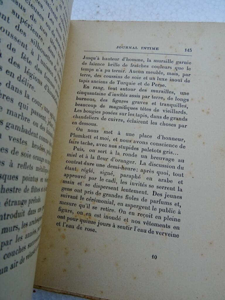 LOTI Pierre. Journal intime 1878-1881 EO
