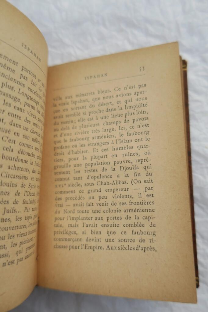Pierre Lotis seltene Rosenminiaturen