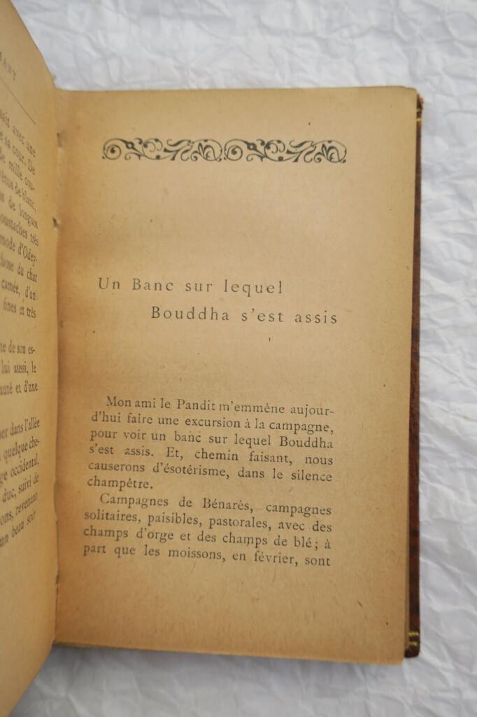 Pierre Lotis seltene Rosenminiaturen