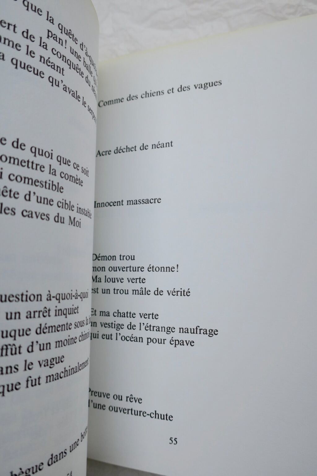 Paralipomènes von Ghérasim LUCA