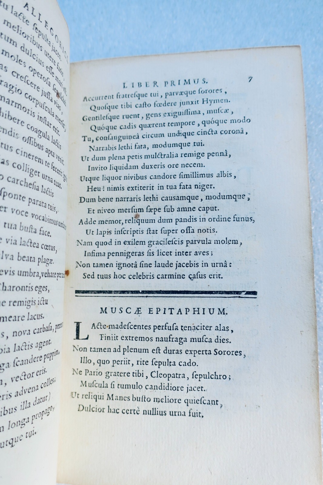 Allegorical poetic work and elegies - Image 5