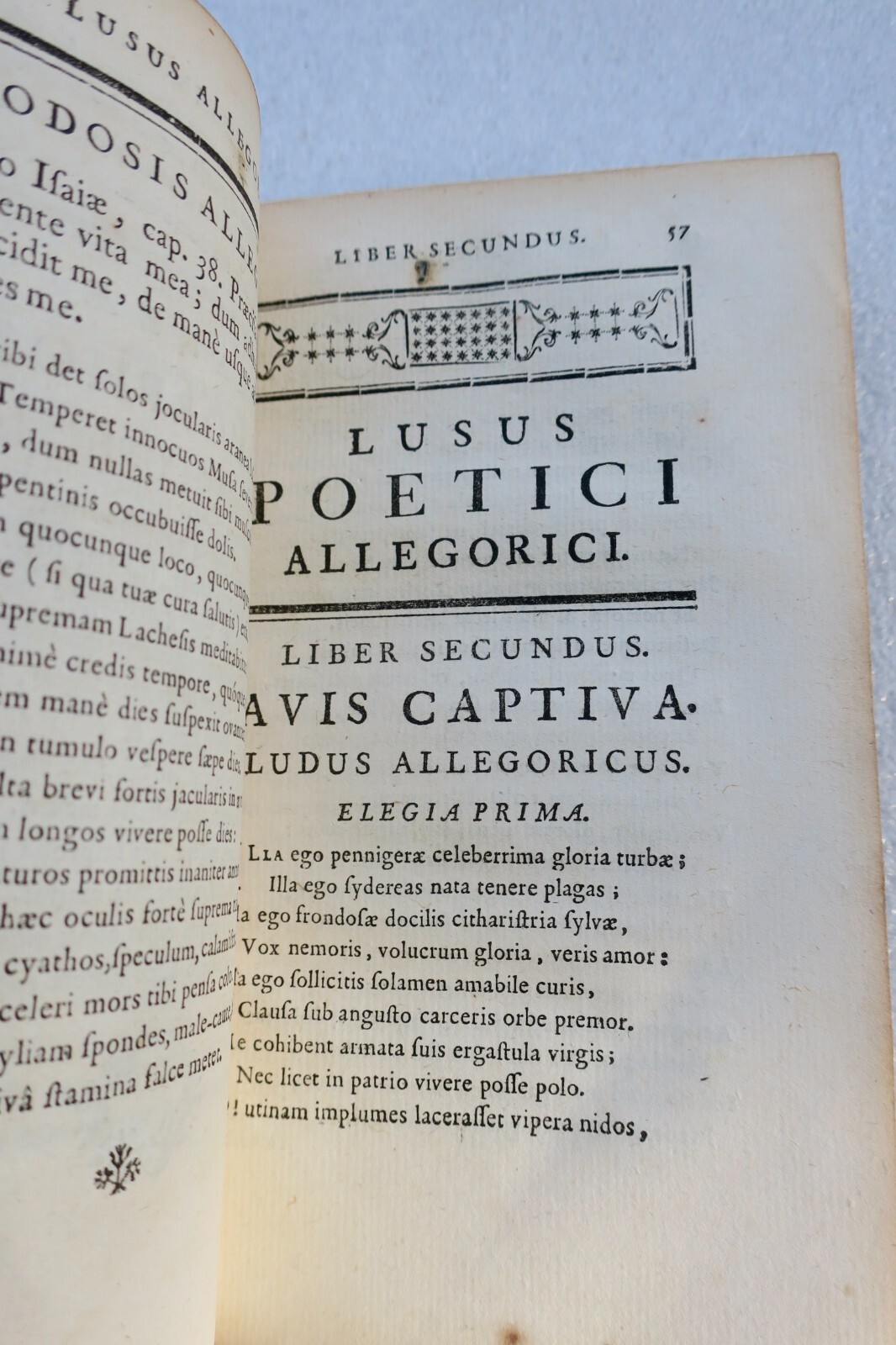 Allegorical poetic work and elegies - Image 4