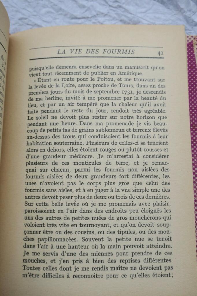 Ameisenkolonien und die Gesellschaft von morgen