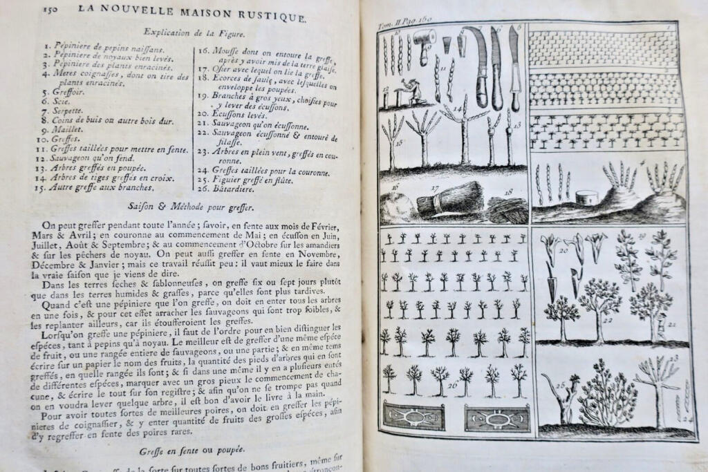 Guide to Rural Economy