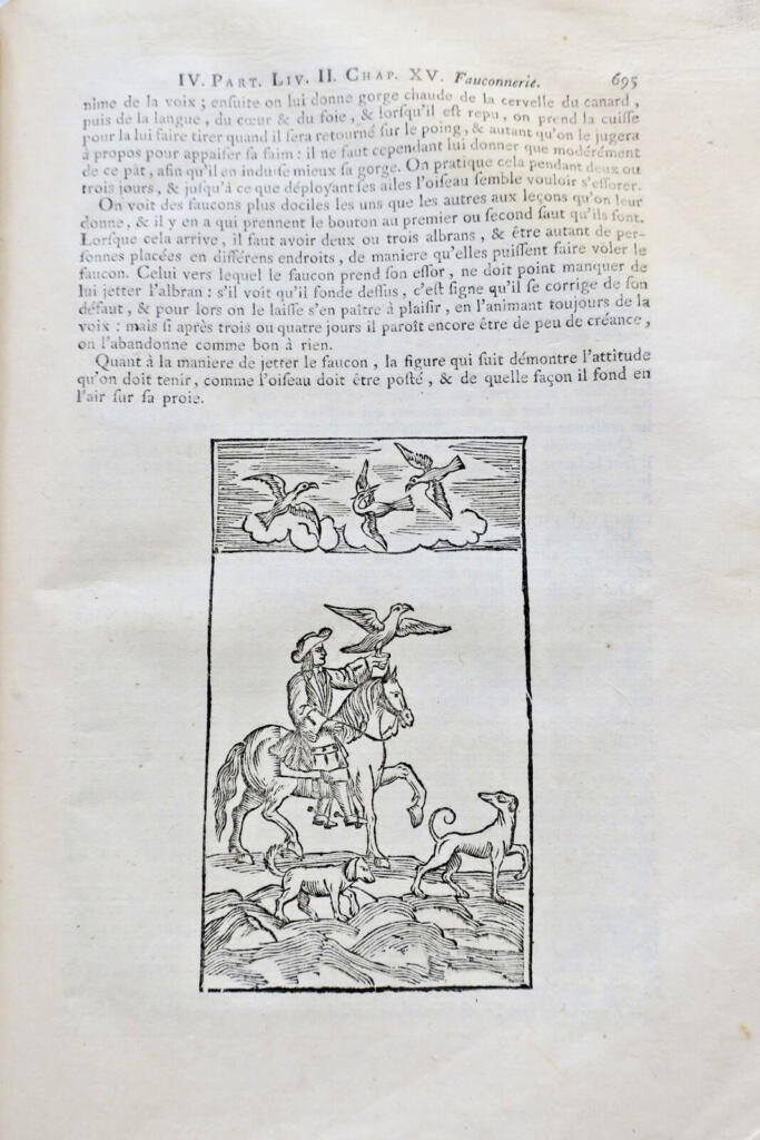 MAISON RUSTIQUE ou économie générale de tous les biens de campagne