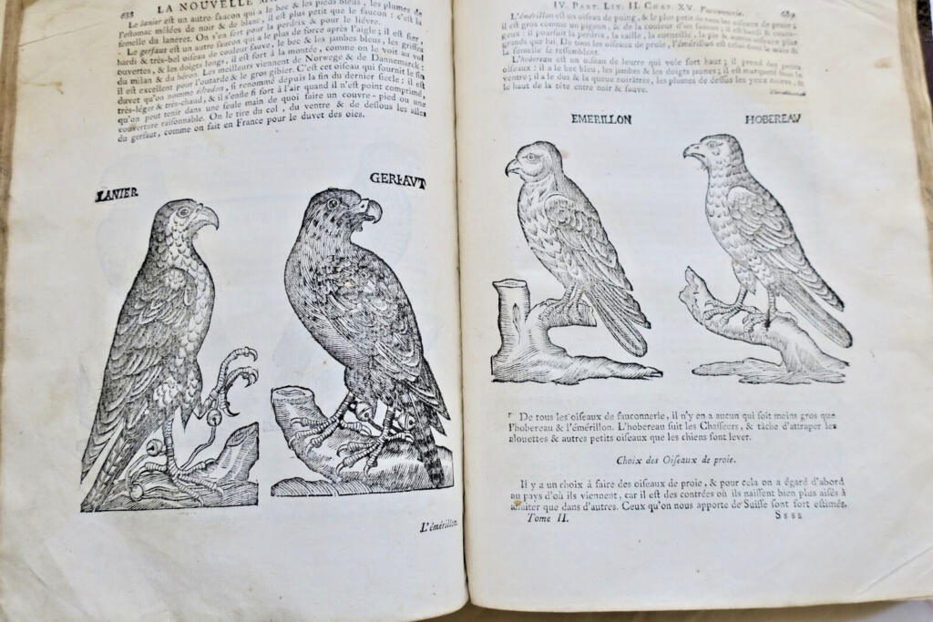 Guide to Rural Economy
