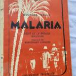 Malaria: Eine Erzählung aus Madagaskars Busch