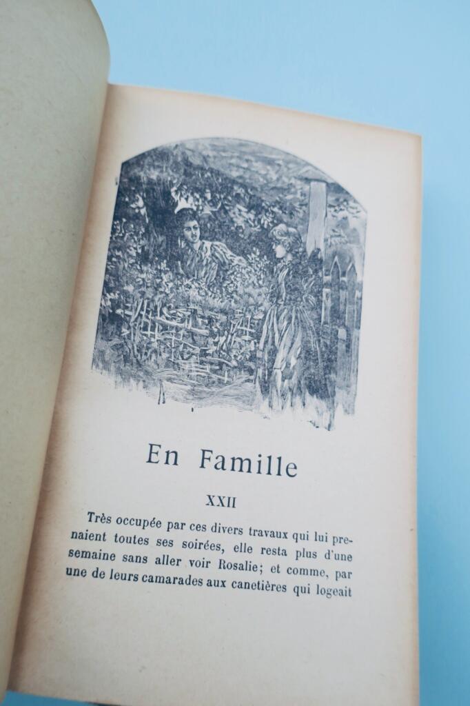 MALOT HECTOR En famille & sans famille