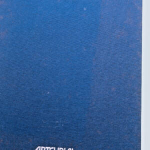 MAN RAY ARTCURIAL , 1991