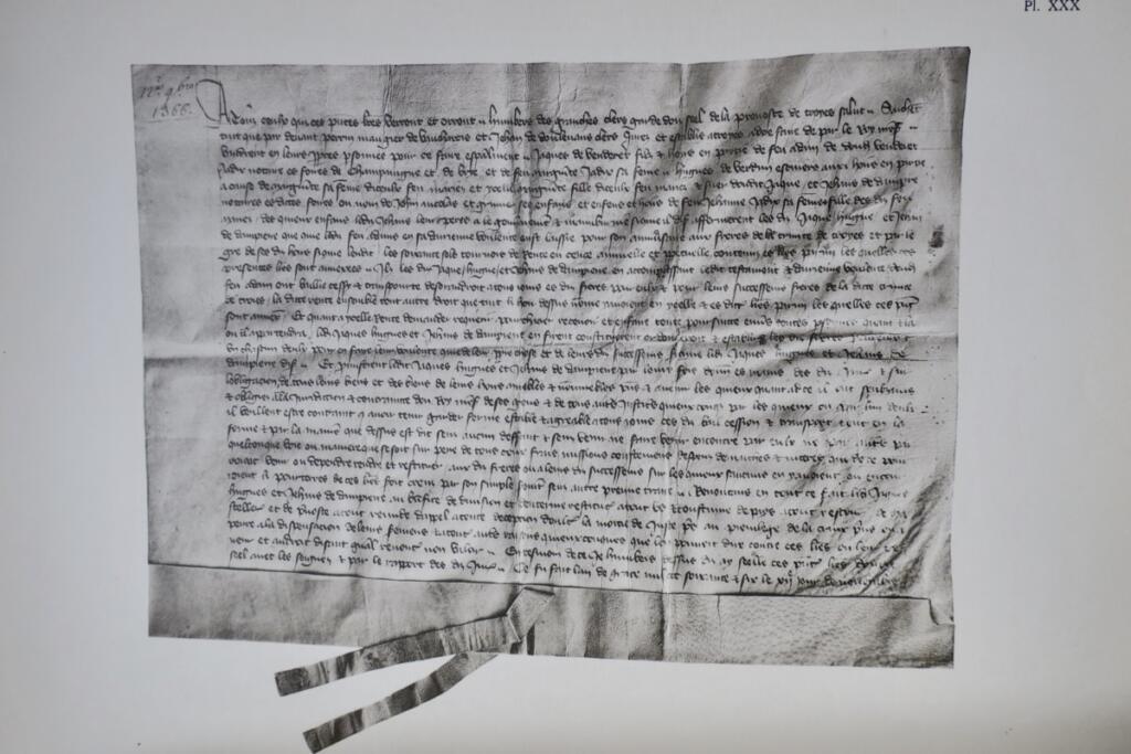 Diplomatische Handbücher mit paläographischen Tafeln