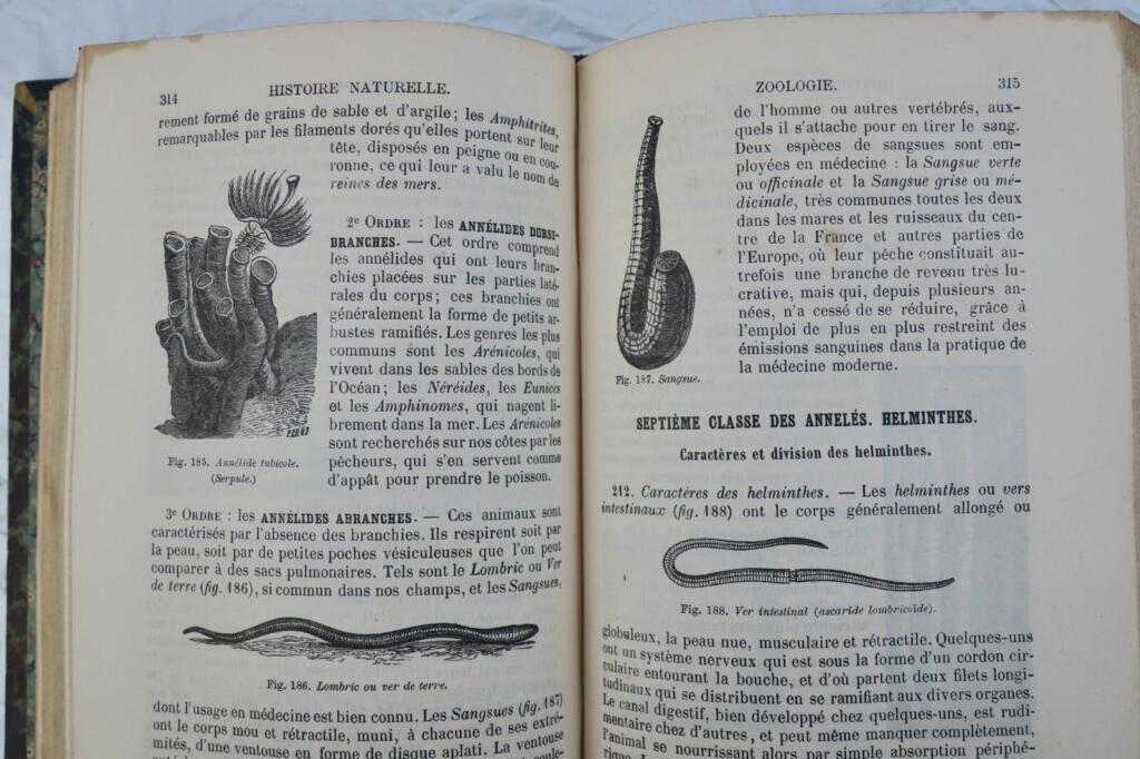 MANUEL D&rsquo;HISTOIRE NATURELLE
