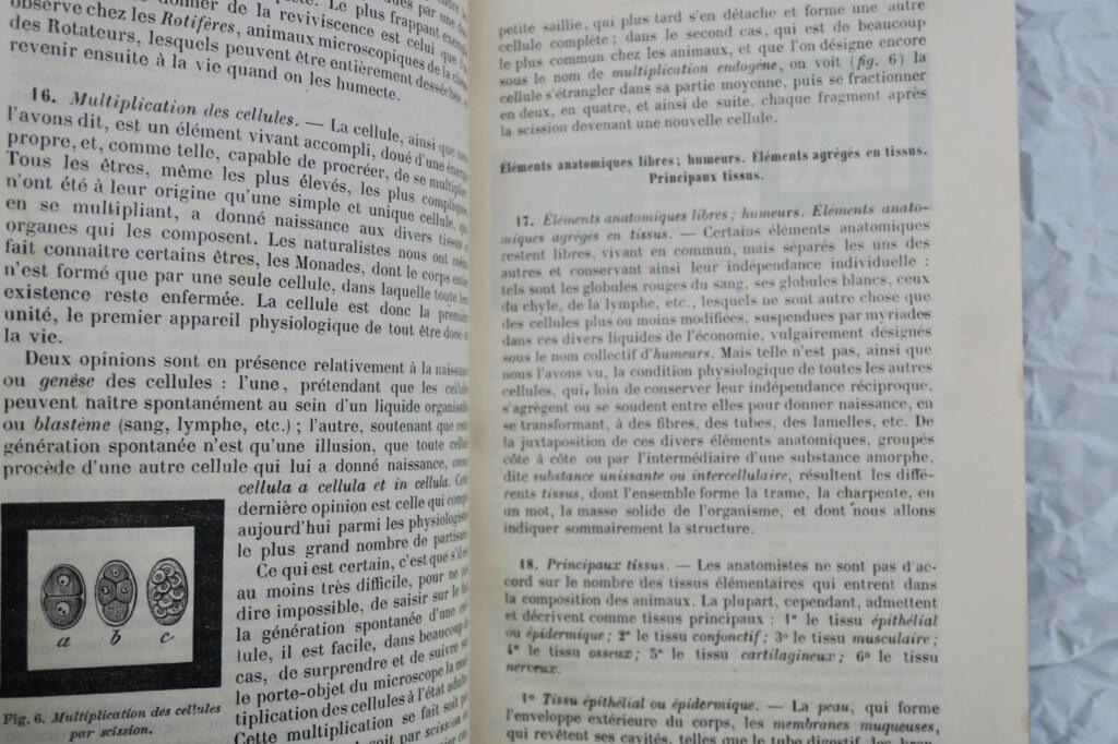 MANUEL D&rsquo;HISTOIRE NATURELLE