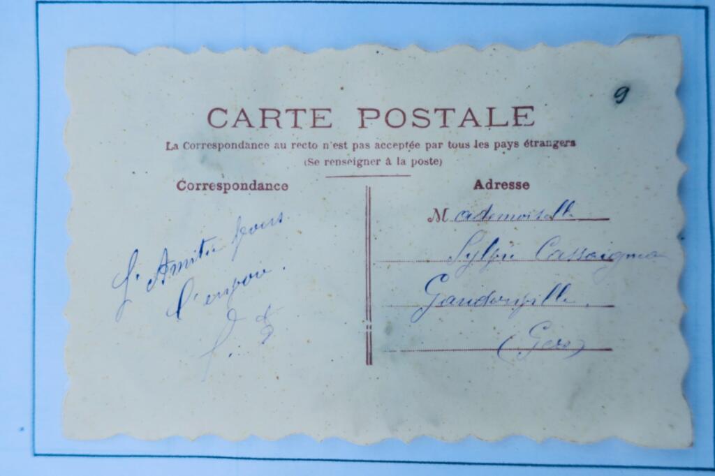 marguerites BELLE EPOQUE gage d’affection
