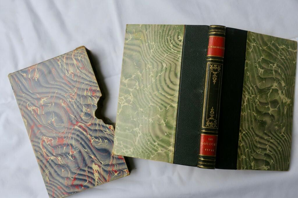马格里特 《生命之源》 1913