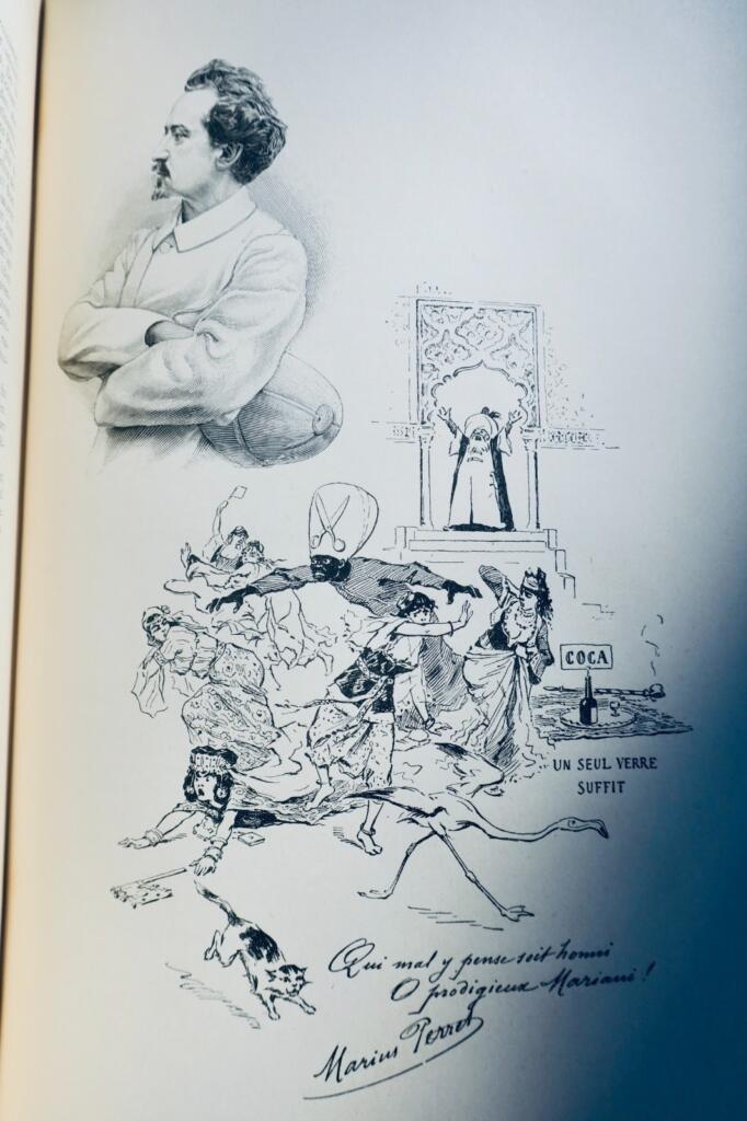 MARIANI FIGURES CONTEMPORAINES 13 volumes